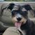 Laura Daniels House's profile image
