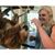 Kelly Stewart's profile image