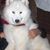 Jimmy Mazak's profile image