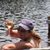 Grace Deno's profile image