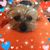 Sue Moore's profile image