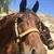 Karen Ullrich Weiss's profile image