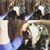 Bethany Wilson's profile image