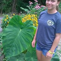 Jodi Calissie's profile image