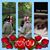 Amanda Kistner's profile image