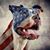 Mark Lamoureux's profile image