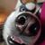 Rita Marie's profile image