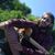 Andrew Polakow's profile image