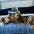 Teresa Zugg Rieger's profile image