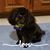 Arlene Gonzales Paretti's profile image