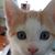 Tisha Cook's profile image