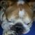 John Lavin's profile image