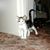 Gary Martin's profile image