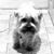 John DeLoach's profile image