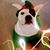 Sherrie Boucher's profile image
