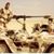Gerry S. Xydis's profile image