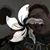 Sejin Moon's profile image