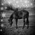 Brenda Spencer's profile image