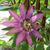Cathleen Disney's profile image