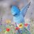Amy Squillace's profile image