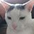 Deborah Greet Hartop's profile image