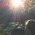 Erin Buker Dickerson's profile image