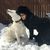 Binita Sinha's profile image