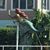 Lena Cunningham Pepin's profile image