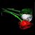 Carmela Spera Simonelli's profile image