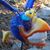 Helen Pipa's profile image