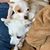 Debbie L Hildebran's profile image