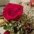 Rosa Gonlz's profile image