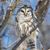 Cathy Warmack Shemonic's profile image