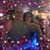 Elizabeth Dunham Collura's profile image