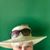 Barb Davis's profile image