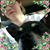 Traci Renee Perry's profile image