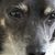 Hendrik Van Den Brink's profile image