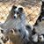Jane Hammett Bright's profile image