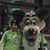 Ed Kirwan's profile image