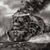 Carl Smith's profile image