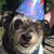 Tracy Johnson Berry's profile image