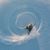 George O. Safford Jr.'s profile image