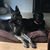 Marilise Faria's profile image