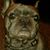 Sherry Frazier Francois's profile image