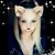 Jessica Stockwell's profile image