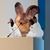 Amy Cohn's profile image
