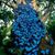 Jasdeep Singh's profile image