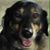 Jim Carroll's profile image