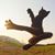 Mary Jo Thompson's profile image