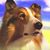 Leigh Ann Waggoner's profile image